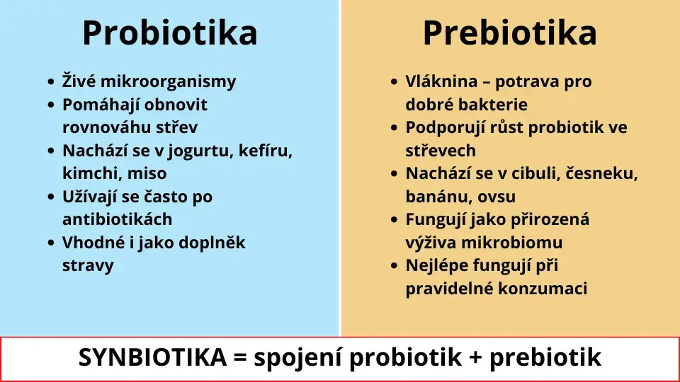 Probiotika a prebiotika – Infografika