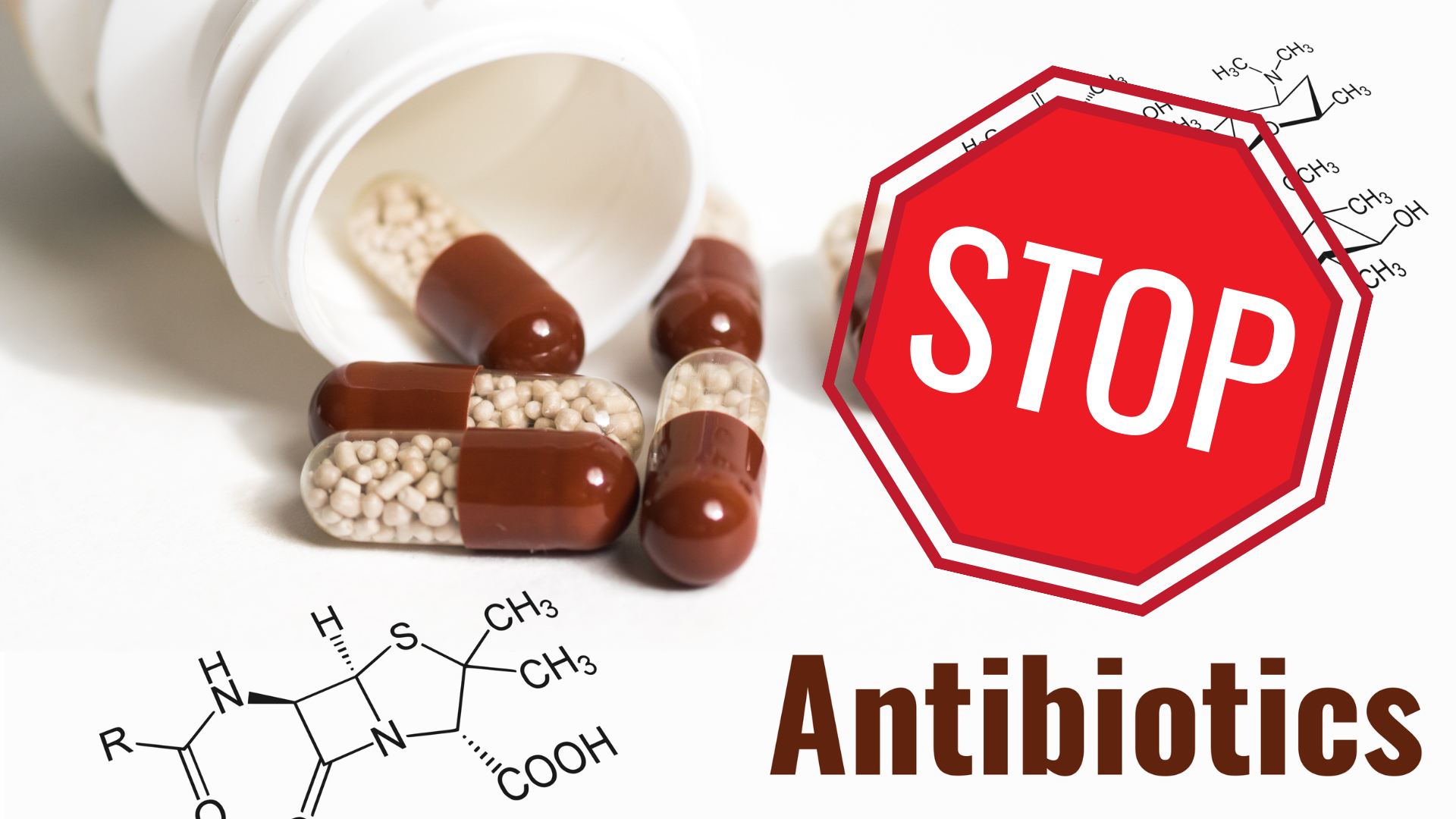 Většina otrav jídlem není bakteriálního původu